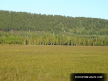 mongolia_2009_06-1