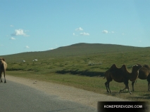 mongolia_2009_18-1