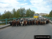 mongolia_2009_47-1